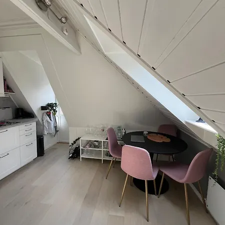 Lovely Penthouse With Private Outdoor Terrace 卑爾根